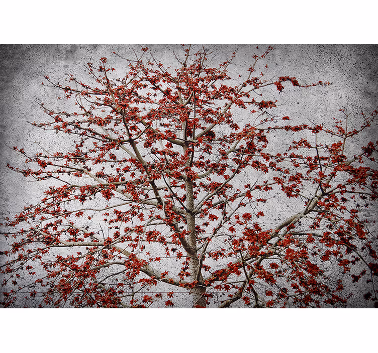 Cortina roller cocina árbol minimalista con flores rojas - TenVinilo