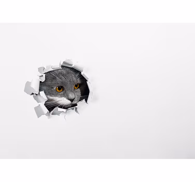 Cortina roller blanca gato lindo - TenVinilo