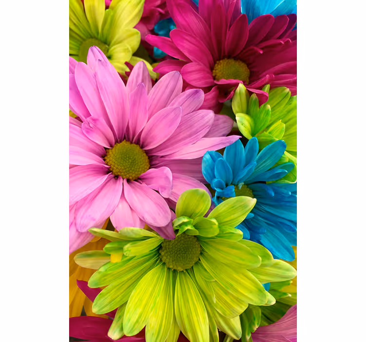 Cortina roller living comedor flores coloridas - TenVinilo