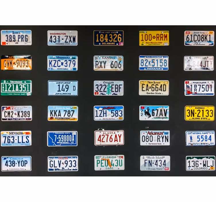 Cortina roller negra placas de matrícula - TenVinilo