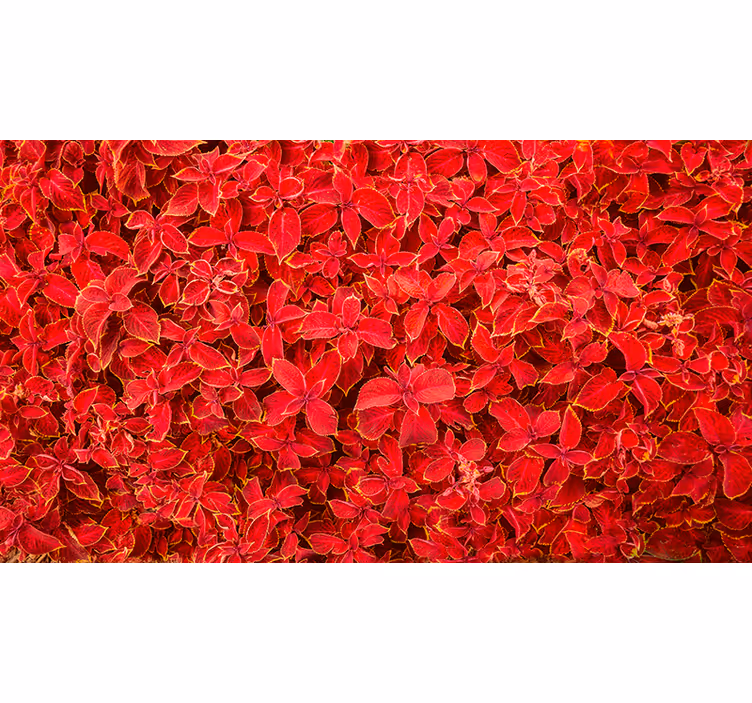 Cortina roller roja con diseño de pétalos - TenVinilo