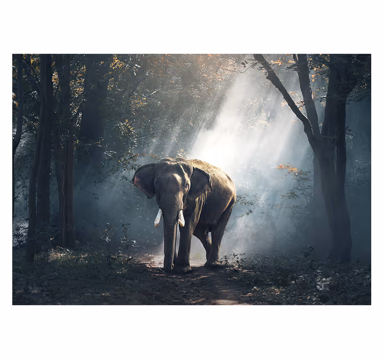 Cortina roller living comedor elefante en el bosque - TenVinilo