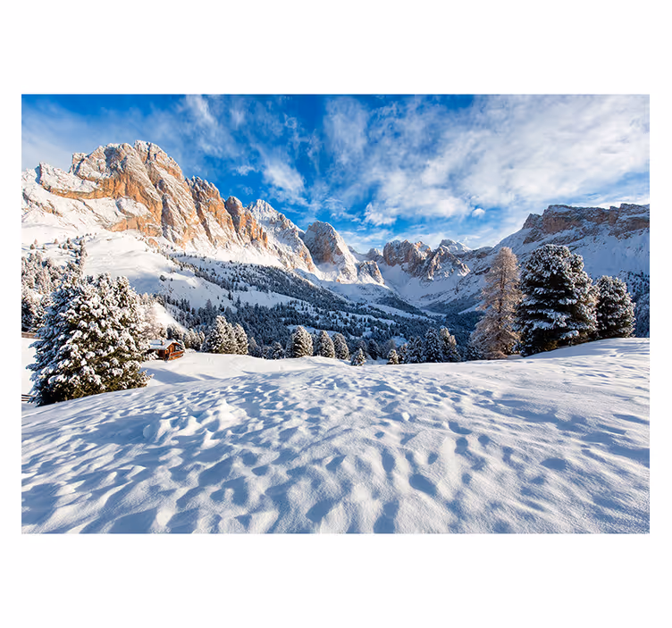 Cortina roller living comedor paisaje montañas nevadas - TenVinilo