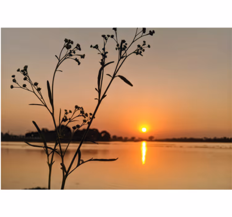 Cortina roller living comedor atardecer en el lago - TenVinilo