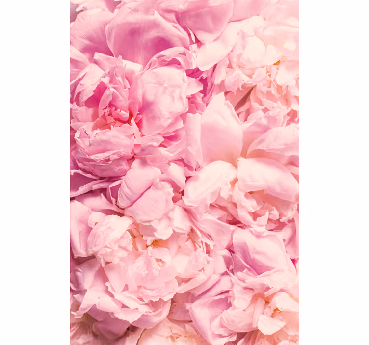 Cortina roller habitación flores rosas peonía realista - TenVinilo