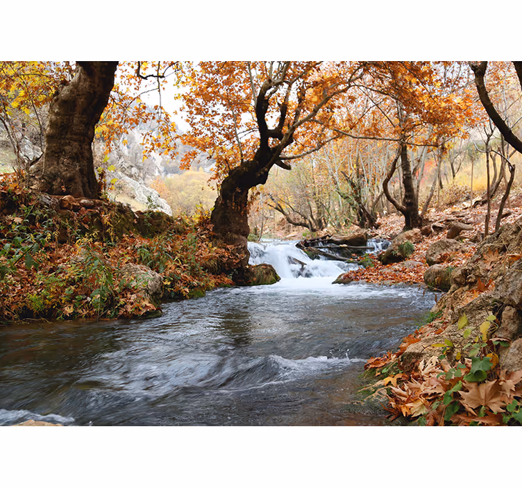 Cortina roller habitación agua rápida en el bosque otoño - TenVinilo