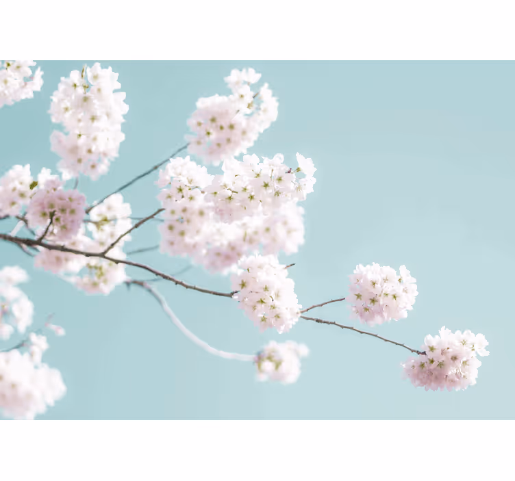 Cortina roller blanca diseño de flores blancas elegantes - TenVinilo