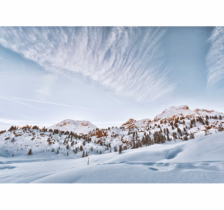 Cortina roller blanca montañas nevadas - TenVinilo