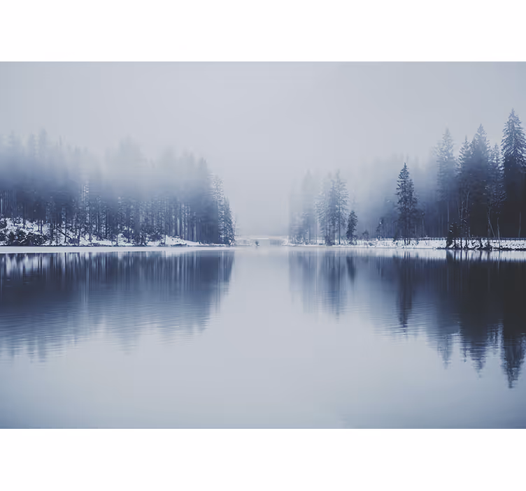 Cortina roller blanca bosque brumoso invernal - TenVinilo
