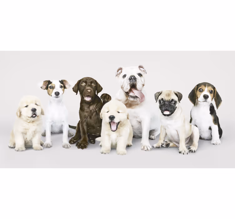 Cortina roller animales fotografía de cachorros - TenVinilo