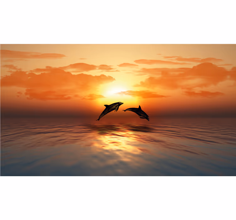 Cortina roller baño 3d delfines nadando - TenVinilo