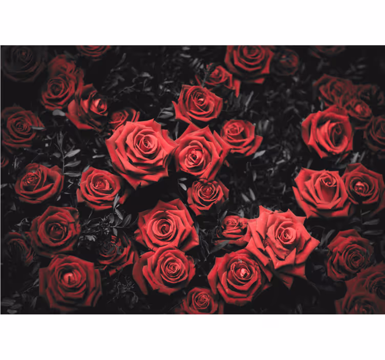 Cortina roller roja blanco y negro con rosas rojas - TenVinilo