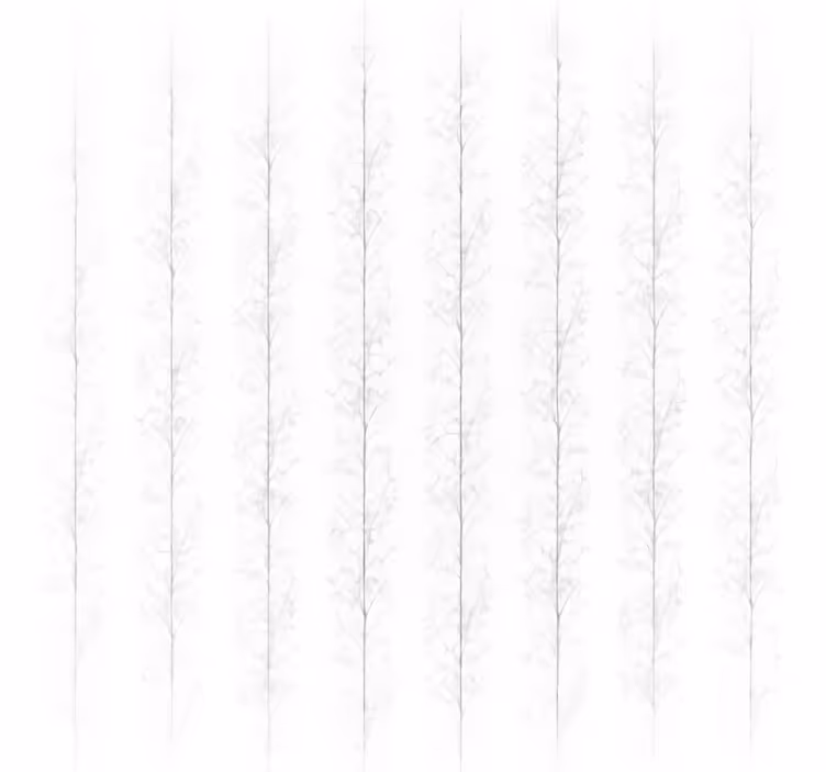 Cortina roller blanca árboles en pantalla - TenVinilo