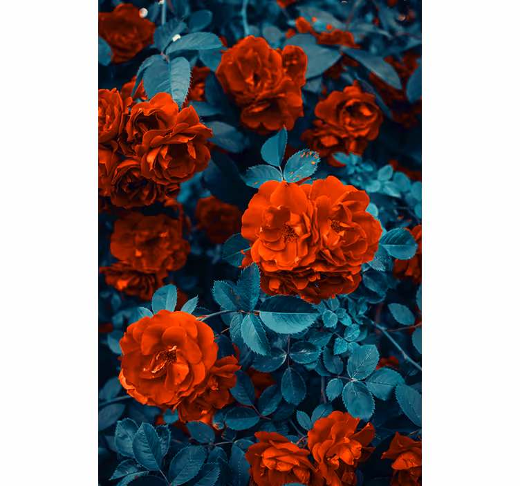 Estor floral Flor de clavel rojo y hojas - TenVinilo