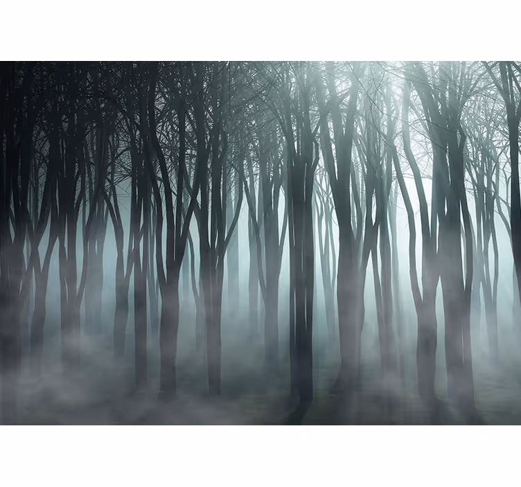 Cortina roller árboles silueta de bosque brumoso - TenVinilo