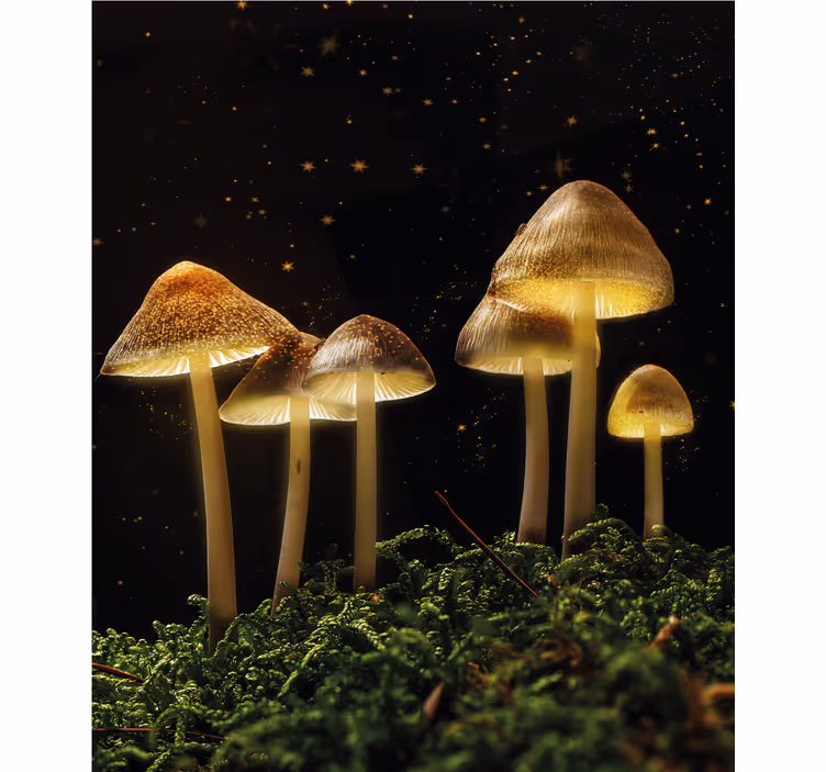 Cortina roller hongos brillantes en la naturaleza - TenVinilo
