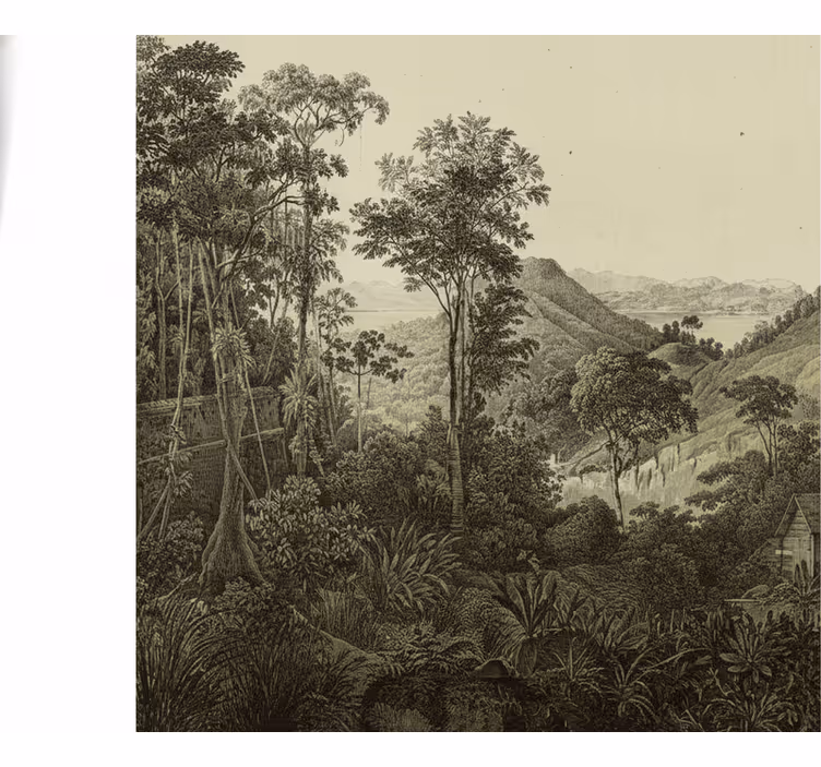Mural de bosque estampado de bosque montañoso - TenVinilo