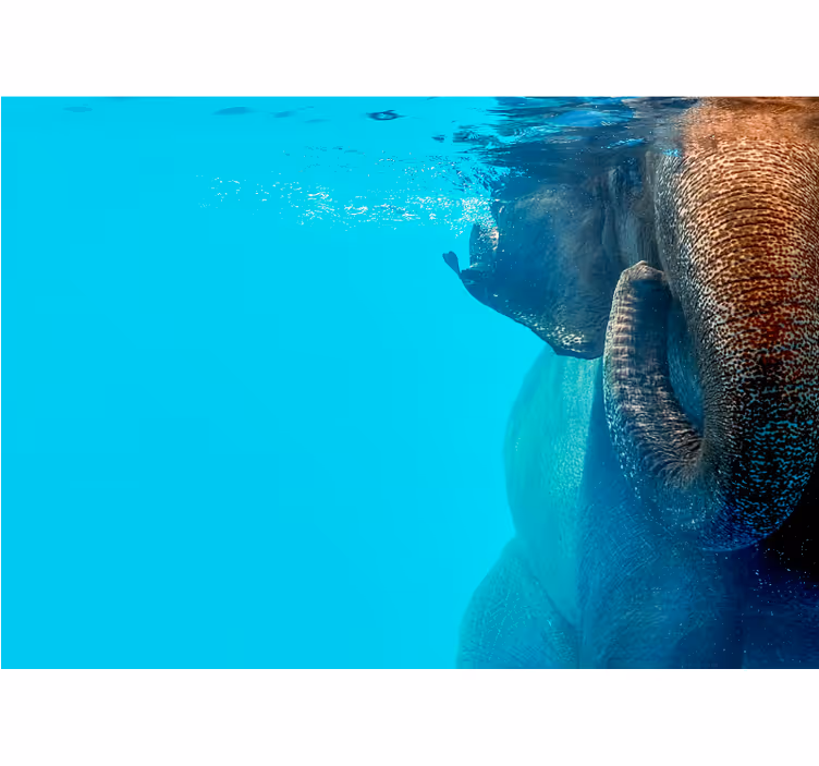 Mural de animales majestuoso elefante submarino - TenVinilo