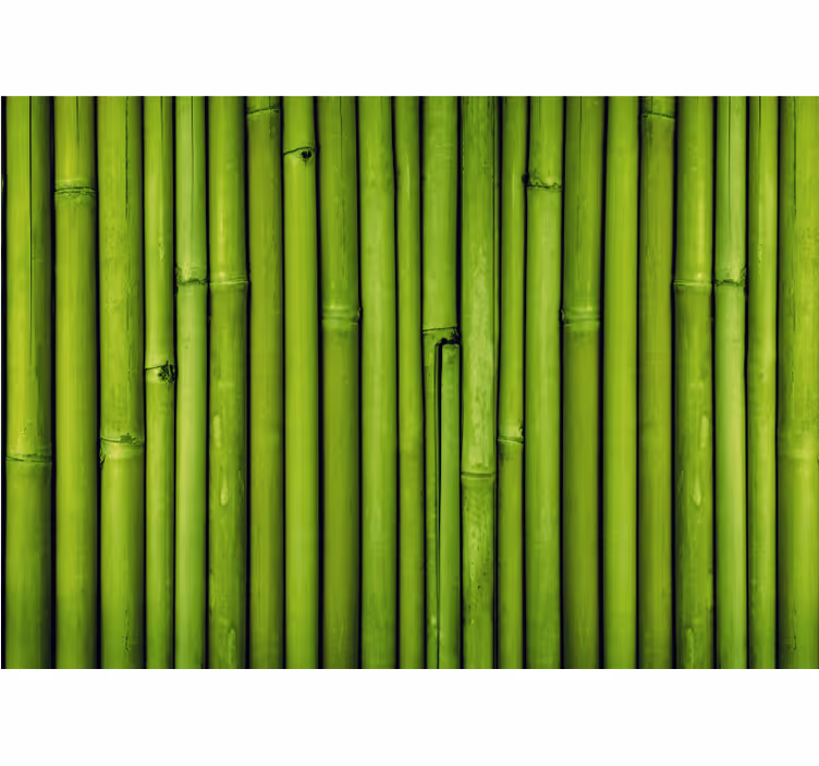 Mural de bambú tallos de bambú verdes - TenVinilo