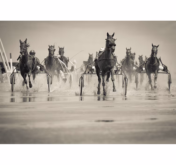 Mural de animales caballos corriendo juntos - TenVinilo