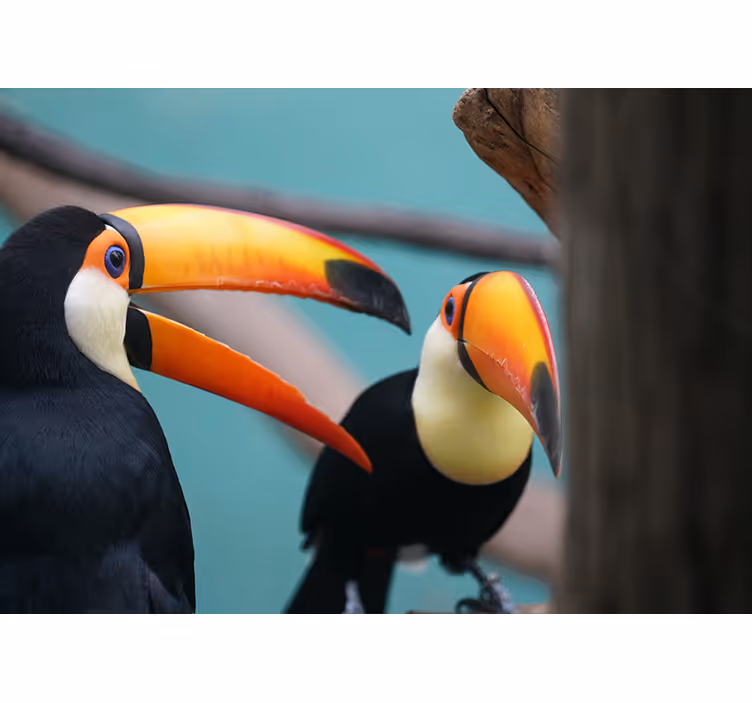 Fotomural animale Fauna amazónica autoctone - TenVinilo
