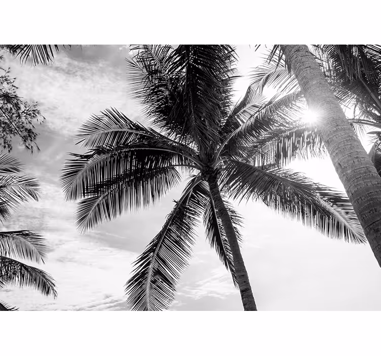 Mural de mar escena de palmeras tropicales - TenVinilo