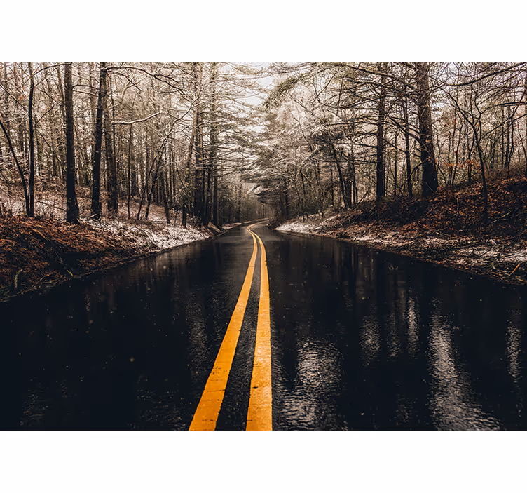 Fotomural de paisaje Camino mojado en el bosque - TenVinilo