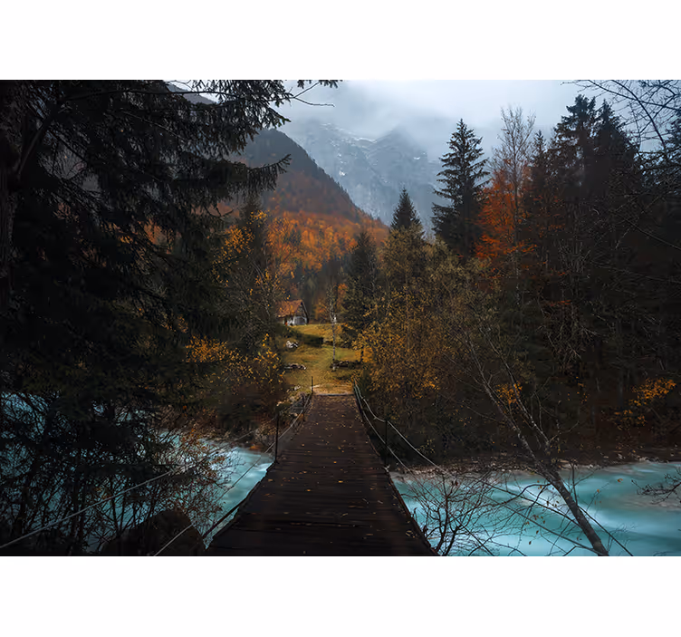 Fotomural de bosque Puente en el bosque - TenVinilo