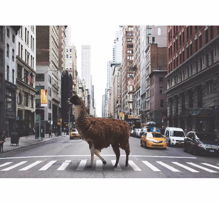 Mural de animales llama en la calle - TenVinilo