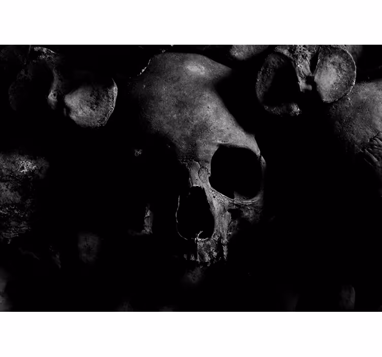Mural moderno patrón de calavera oscura - TenVinilo