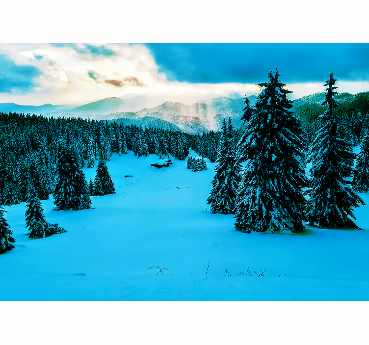 Mural de paisajes bosque de pinos nevados - TenVinilo