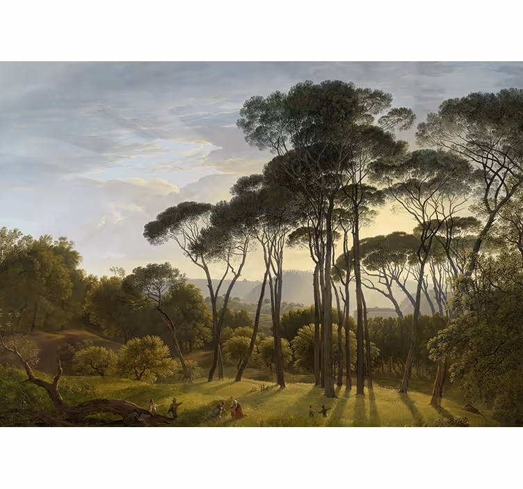 Fotomural de bosque Paisaje de bosque italiano - TenVinilo