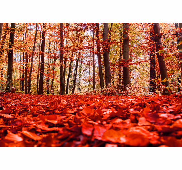 Fotomural de bosque Hojas rojas - TenVinilo