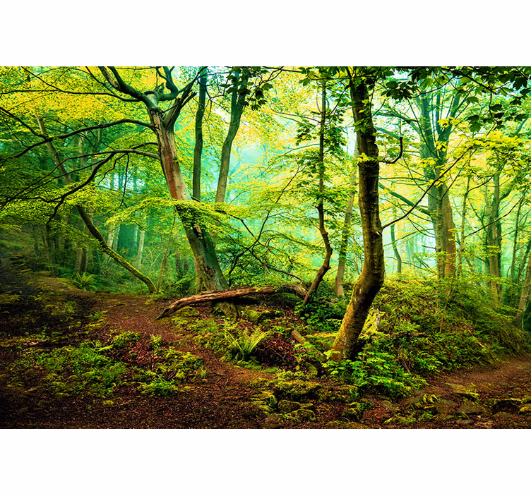 Mural de bosque bosque verde vibrante - TenVinilo
