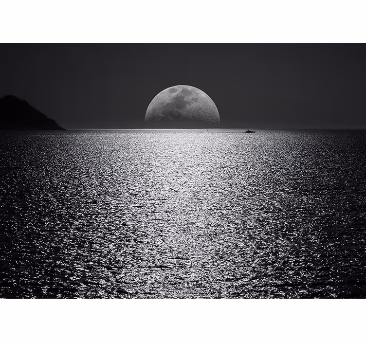 Mural de mar vista iluminada por la luna - TenVinilo