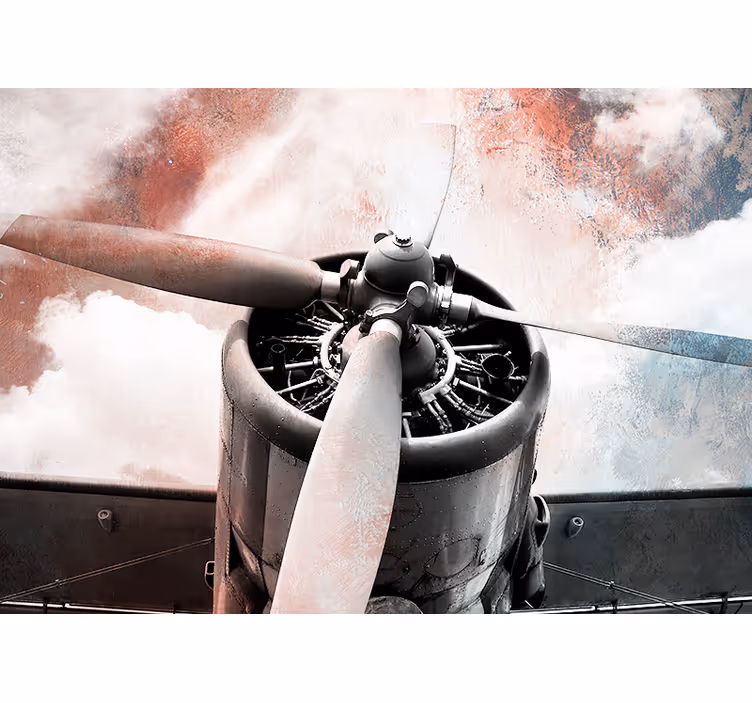 Fotomural retro Avion viejo - TenVinilo
