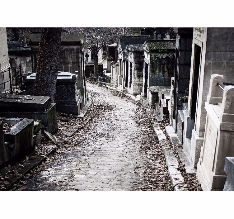 Mural para salón El cementerio de père lachaise - TenVinilo