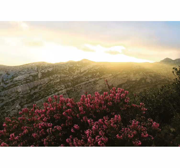 Mural de naturaleza flora rosa en flor - TenVinilo