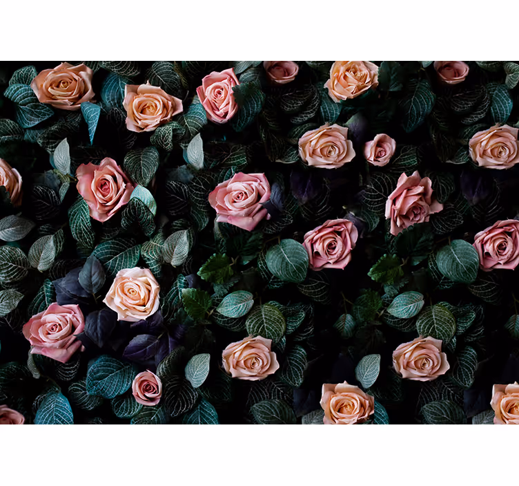 Fotomural de rosas Rosas de coral rosa - TenVinilo