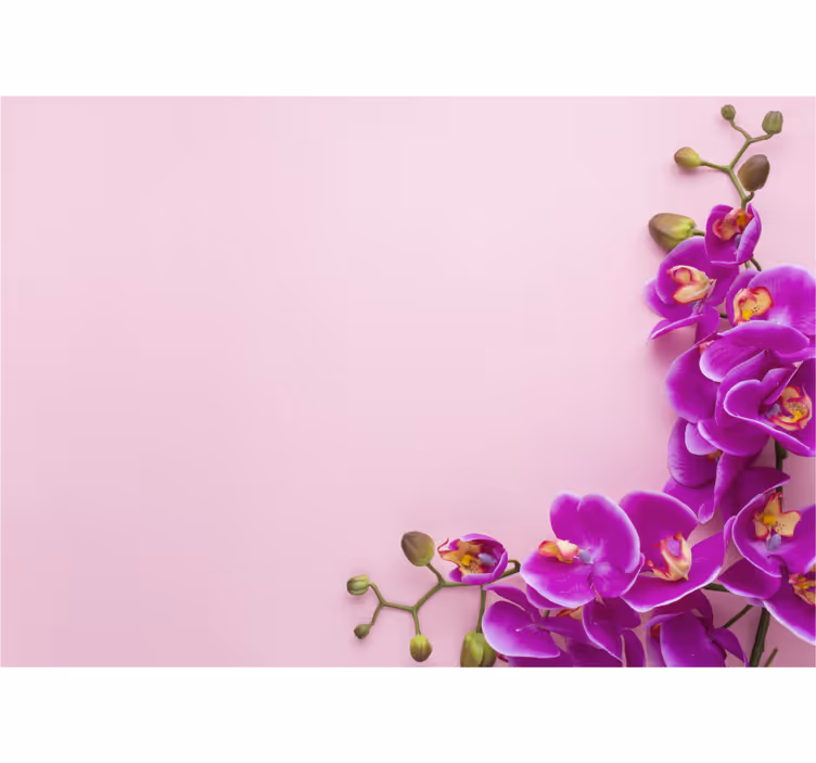 Fotomural de orquídeas Fondo rosa con - TenVinilo