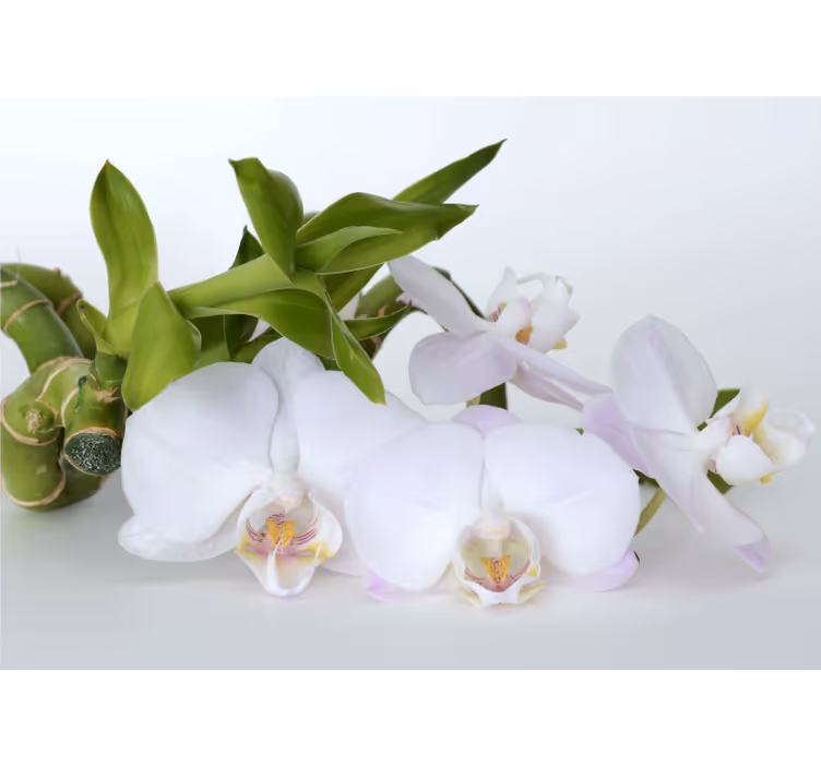 Mural de orquídeas arreglo de orquídeas elegante - TenVinilo