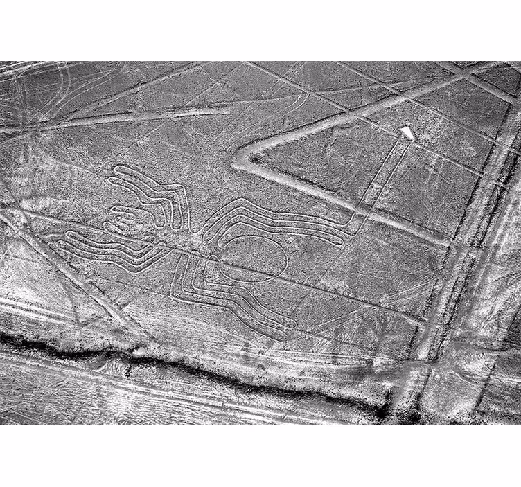 Fotomural naturaleza Postre de hielo lineas de nazca - TenVinilo
