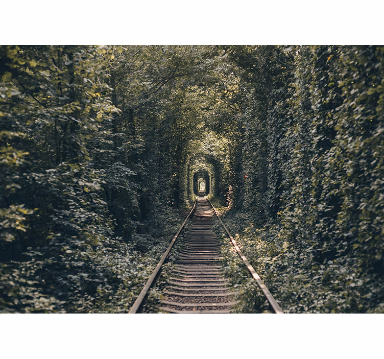Mural de paisajes túnel de ferrocarril naturaleza - TenVinilo