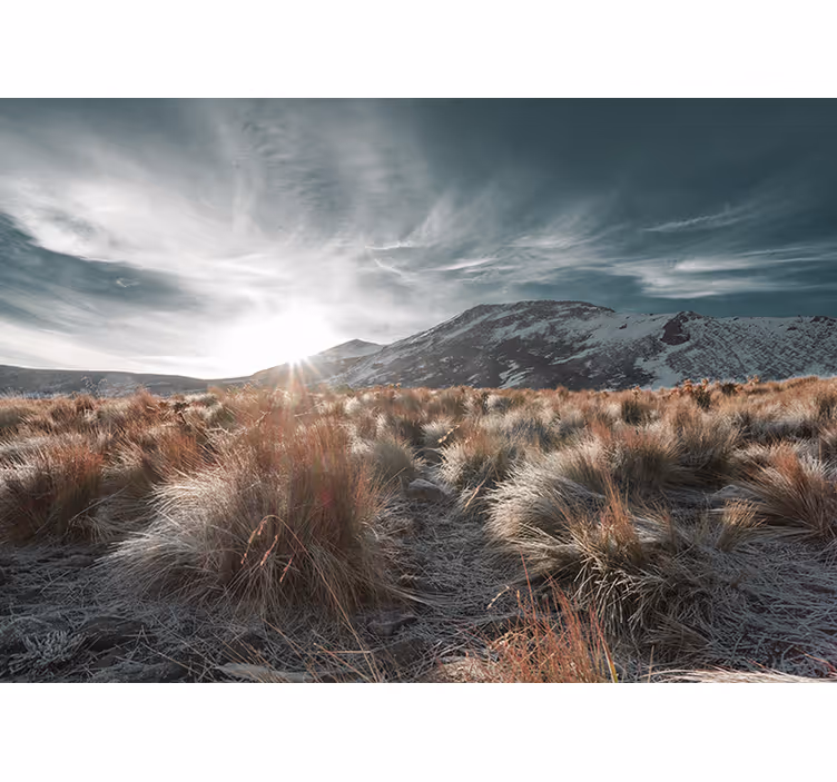 Fotomural naturaleza Nevado de toluca con campos - TenVinilo