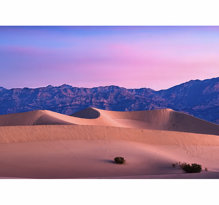 Mural de desierto paisaje de dunas doradas - TenVinilo