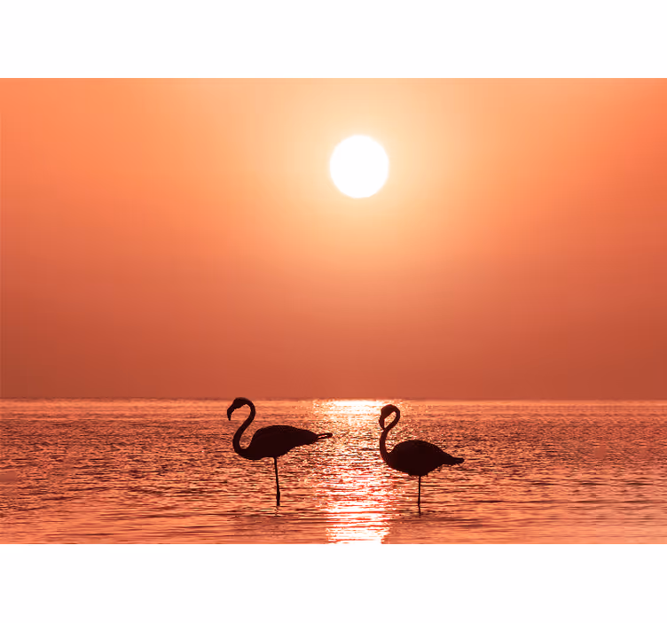 Mural de animales escena de flamencos al atardecer - TenVinilo