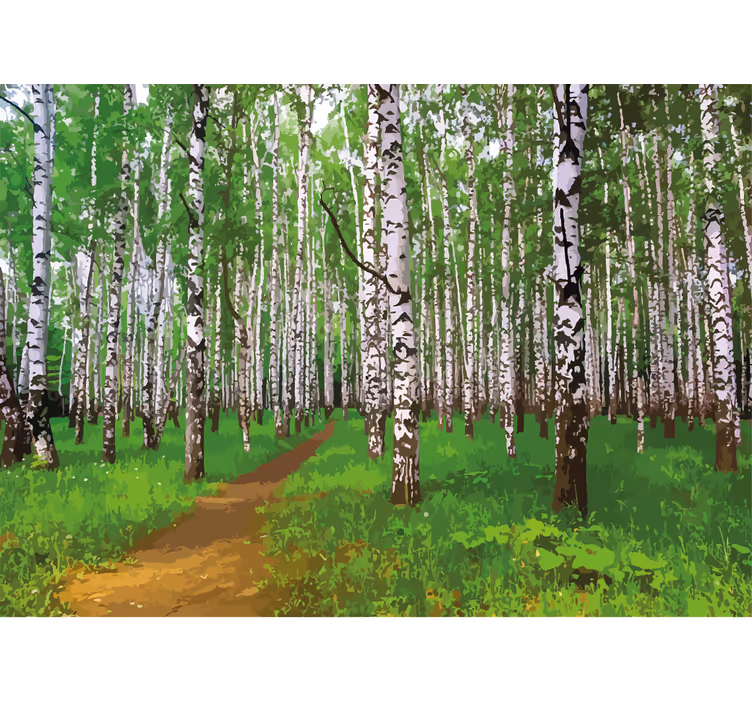 Mural de naturaleza sendero en el bosque de abedules - TenVinilo
