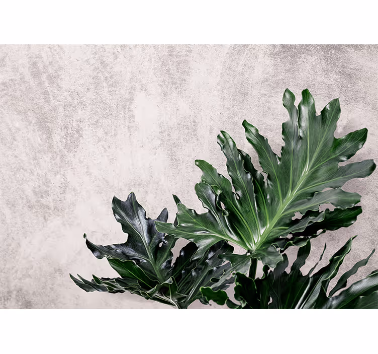 Mural de naturaleza hojas verdes frondosas - TenVinilo