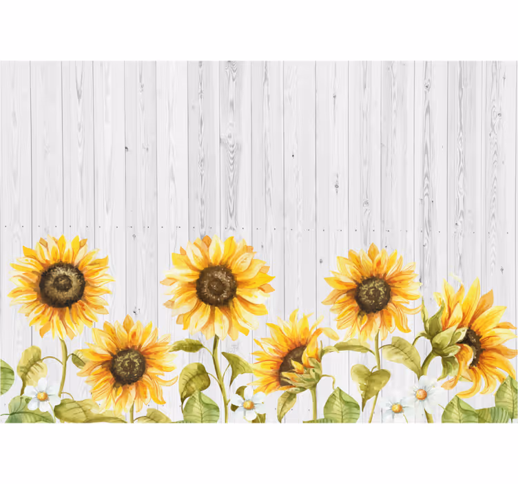 Fotomural flores Girasoles en tablones de madera gris - TenVinilo