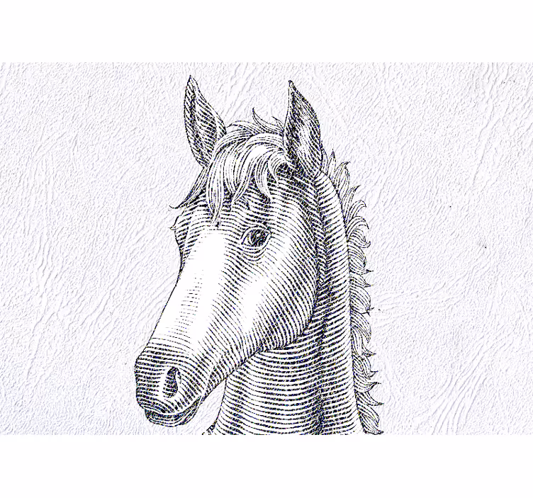 Mural de animales retrato elegante de caballo - TenVinilo